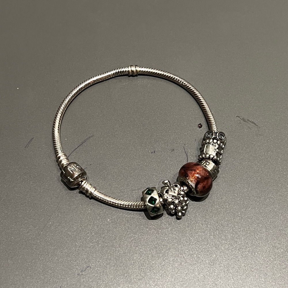 Pandora Sterling Silver Charm Bracelet